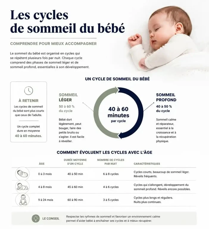 Infographie des cycles de sommeil pour savoir faut il reveiller bebe sieste trop longue