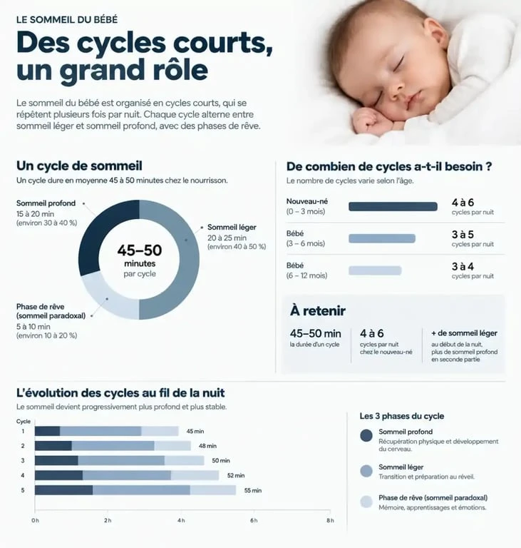 Infographie sur le sommeil de bébé et les cycles de repos